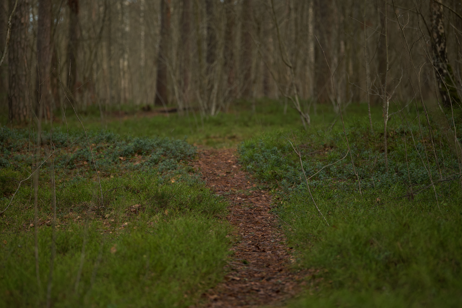 A Gentler Way to Approach Tracking, Measuring And When To Stop, One Step at a Time
