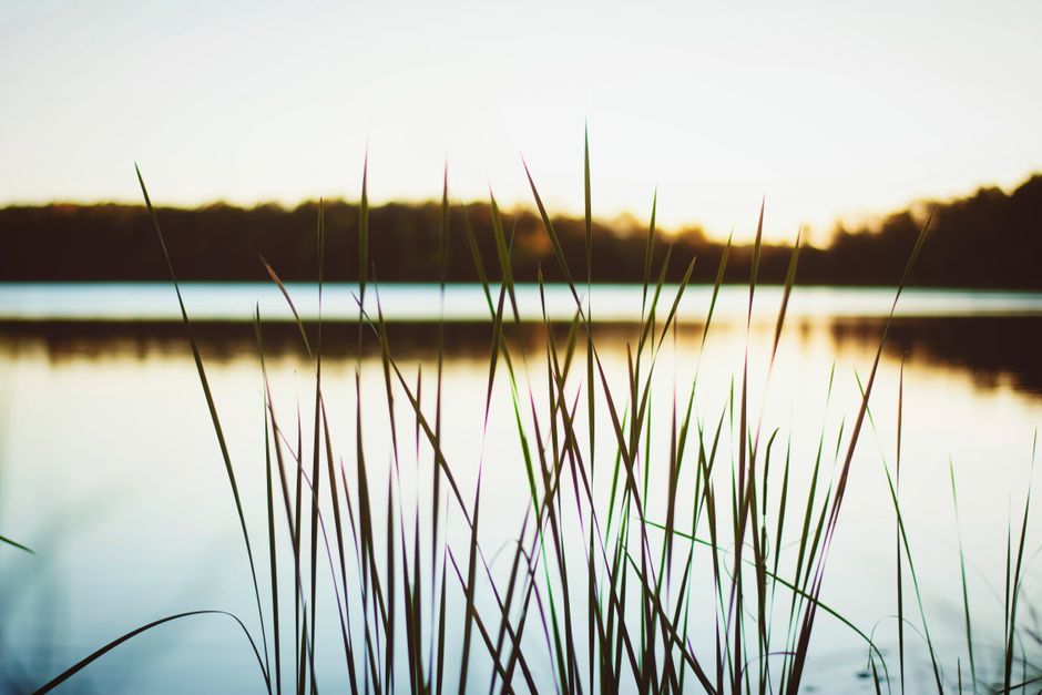 Building a Daily Routine Around Time, Attention And Health