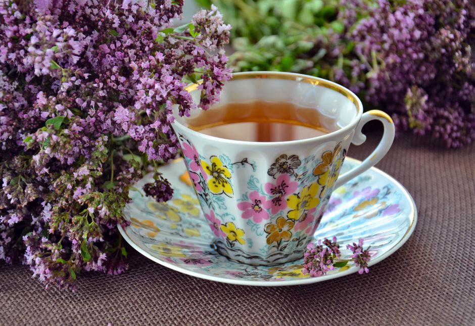 Coming Back to Health Advice Online And How To Weigh It, Explained Simply