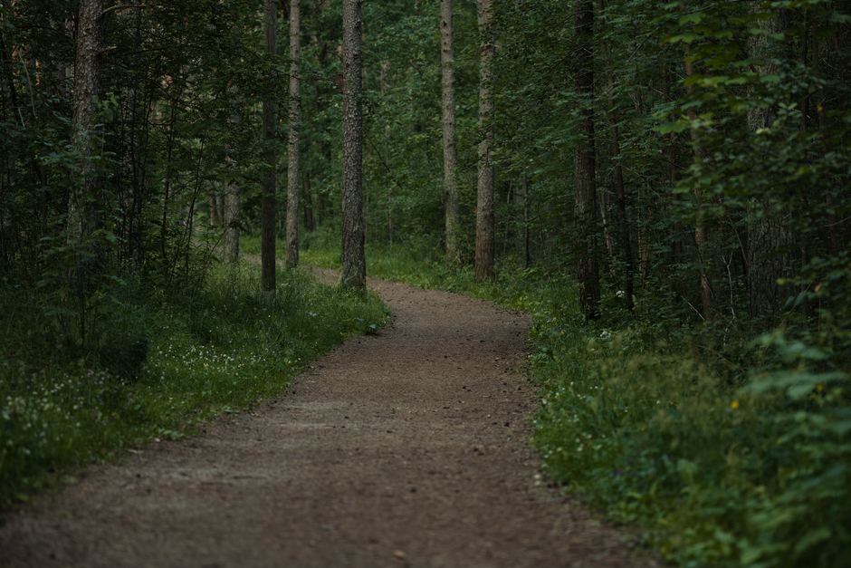 Finding Your Footing With Starting Over Without Starting From Scratch, on a Normal Week