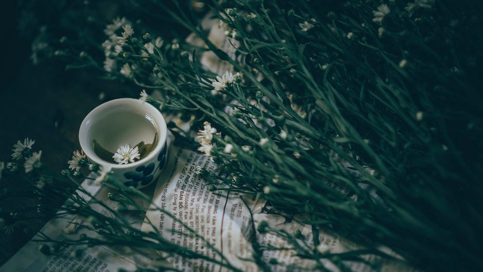 Getting Started With The Value Of Prevention