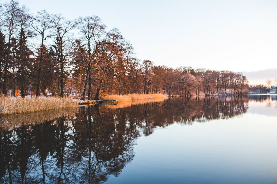 Getting Started With Understanding Health And Wellness