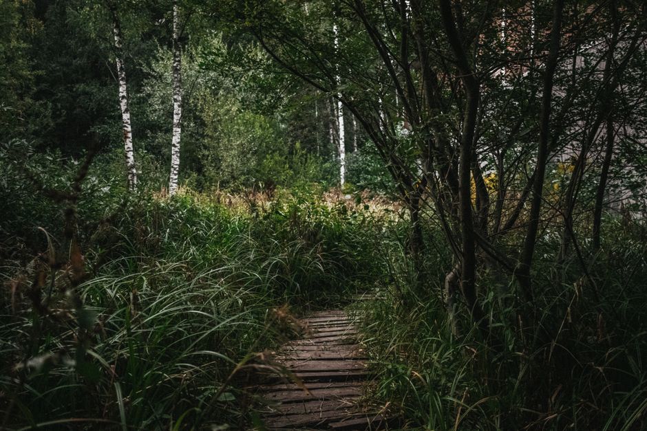 Health Over A Lifetime, Not A Season: A Realistic Plan