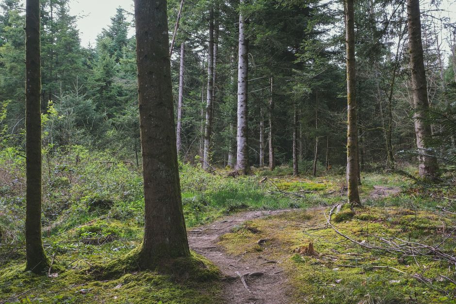 How to Stay Consistent With Habits: How They Actually Form, in Plain Language