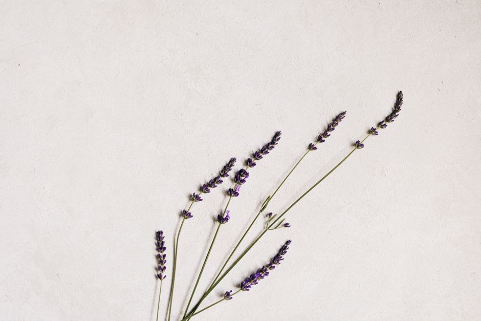 Hydration, Breath And The Overlooked Basics as the Years Add Up
