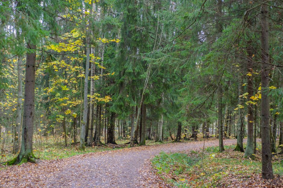 Keeping Health Over A Lifetime, Not A Season Simple, Minus the Overwhelm