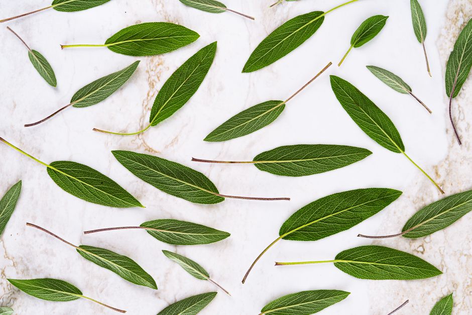 Keeping Seasonal Changes And How The Body Responds Simple