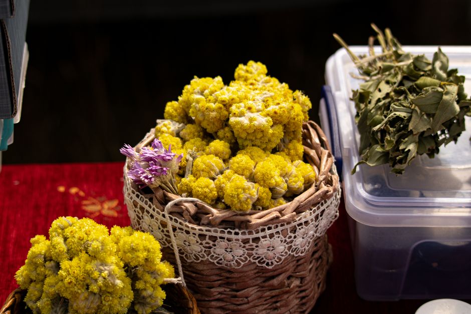 Seasonal Changes And How The Body Responds: A Beginner's Guide