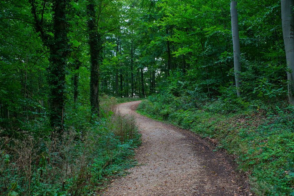 The Quiet Value of Starting Over Without Starting From Scratch, Without Overthinking It