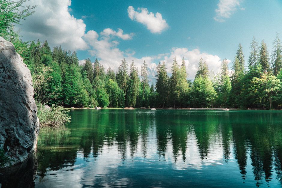 The Truth About Stress: Signal, Response And Recovery