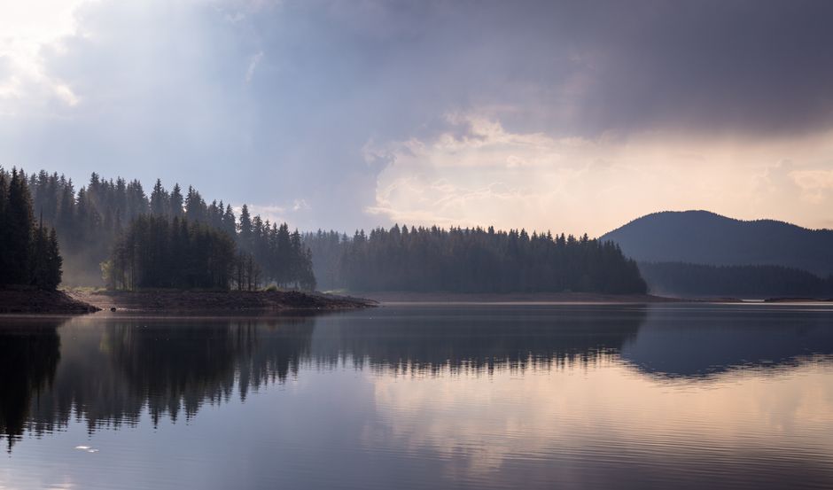 The Truth About Understanding Health And Wellness