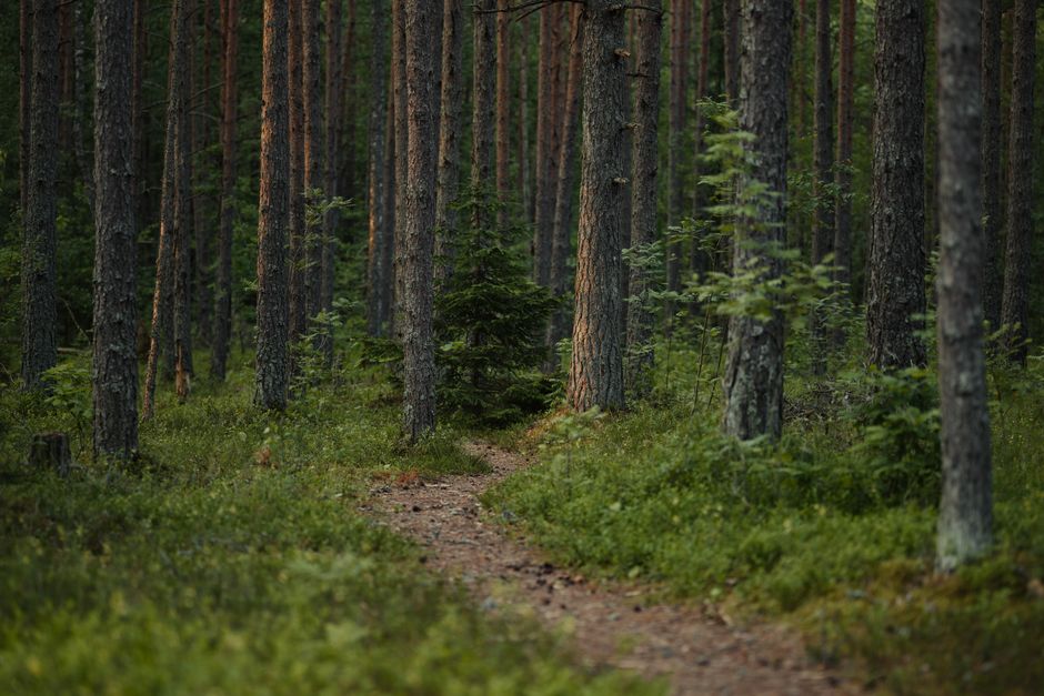 Tracking, Measuring And When To Stop: The Honest Version