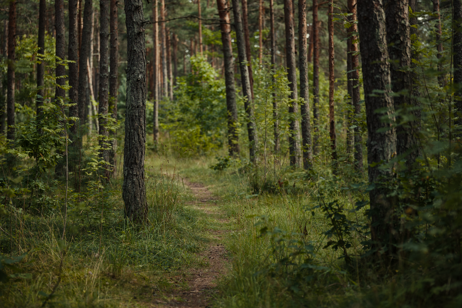 Understanding Health Over A Lifetime, Not A Season in Plain Terms, Day by Day