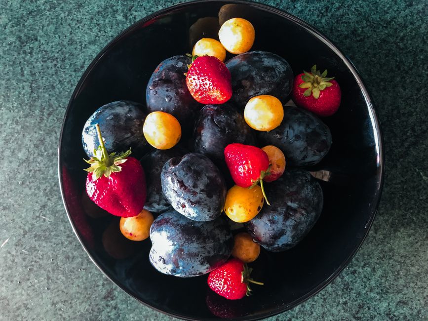 Wellness For Everyday Life When You're Short on Time